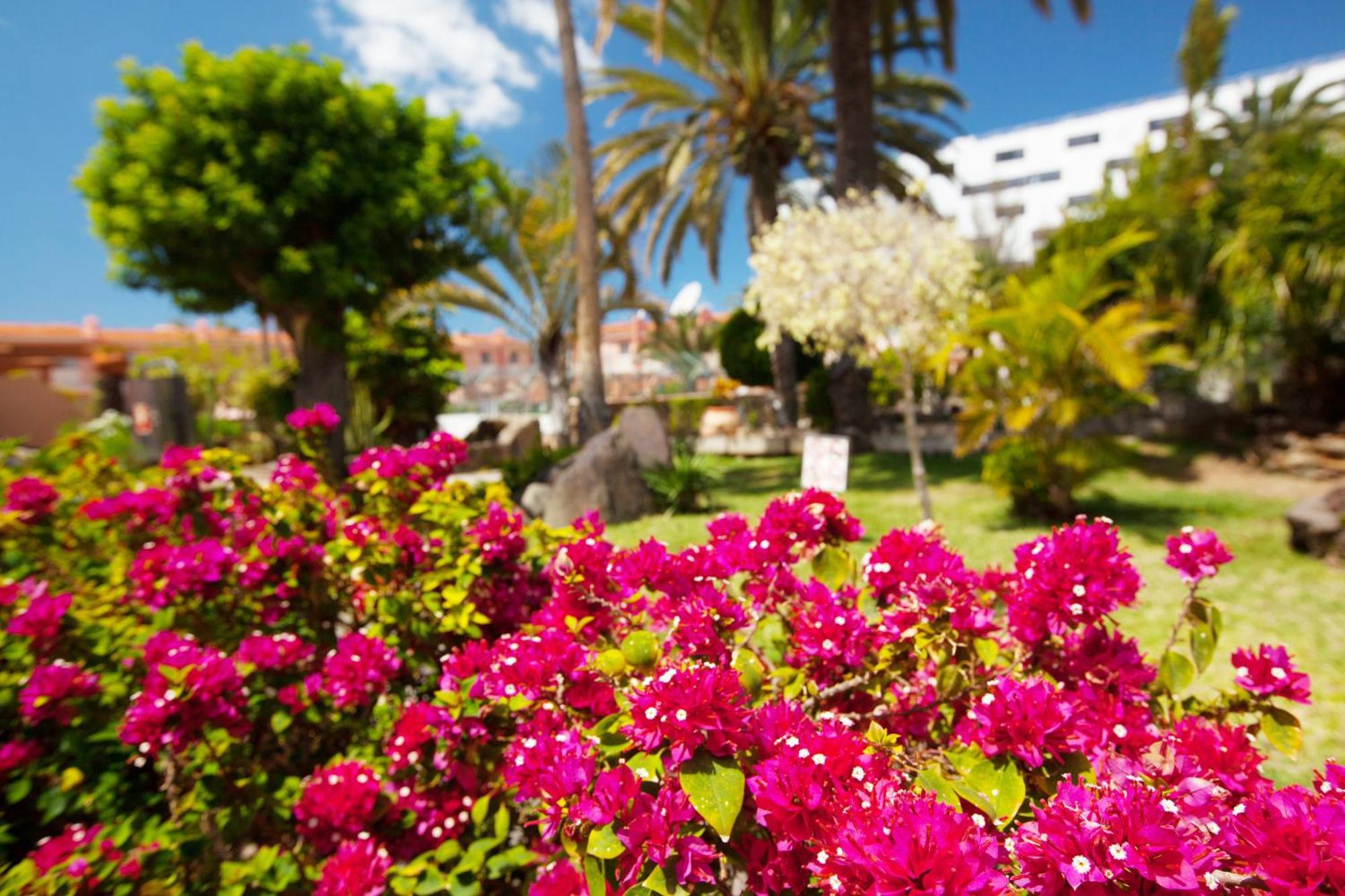 Sholeo Lodges Maspalomas Плайя-дель-Инглес Экстерьер фото